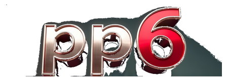 pp6 logo